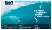 成都博智咨询公司